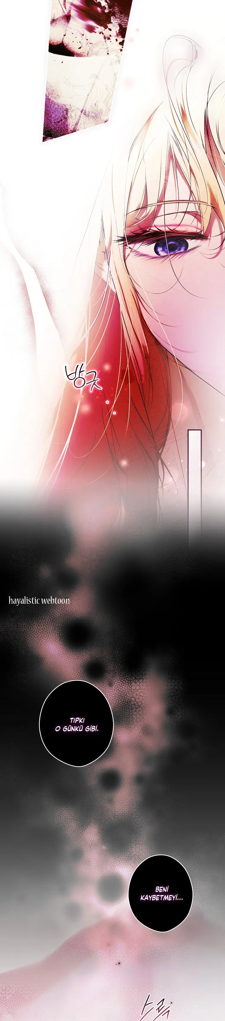 Kimliğini Gizleyen Leydi - Bölüm 117 Sayfa 24