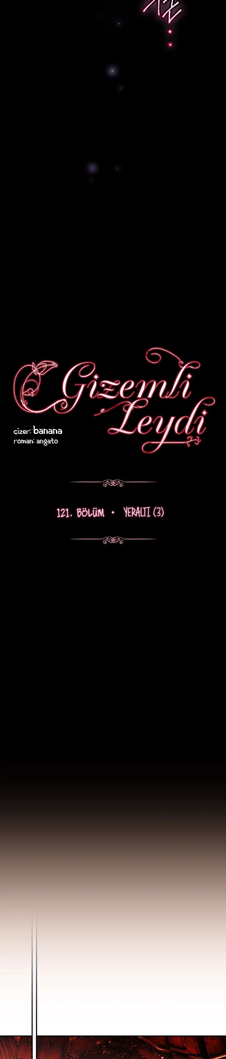 Kimliğini Gizleyen Leydi - Bölüm 121 Sayfa 14
