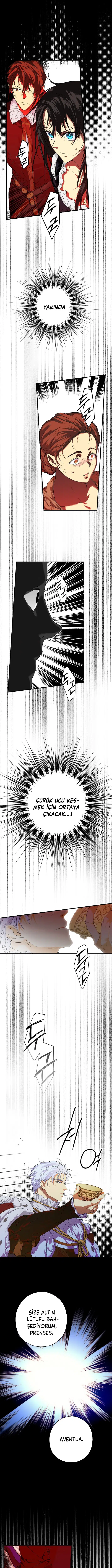 Kimliğini Gizleyen Leydi - Bölüm 12 Sayfa 8