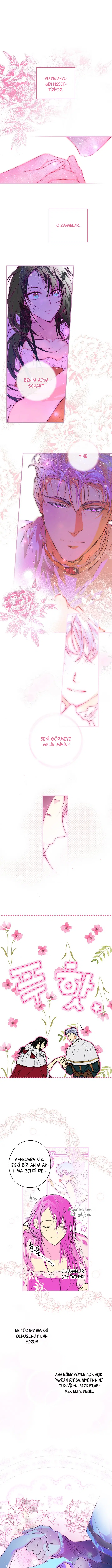 Kimliğini Gizleyen Leydi - Bölüm 14 Sayfa 1