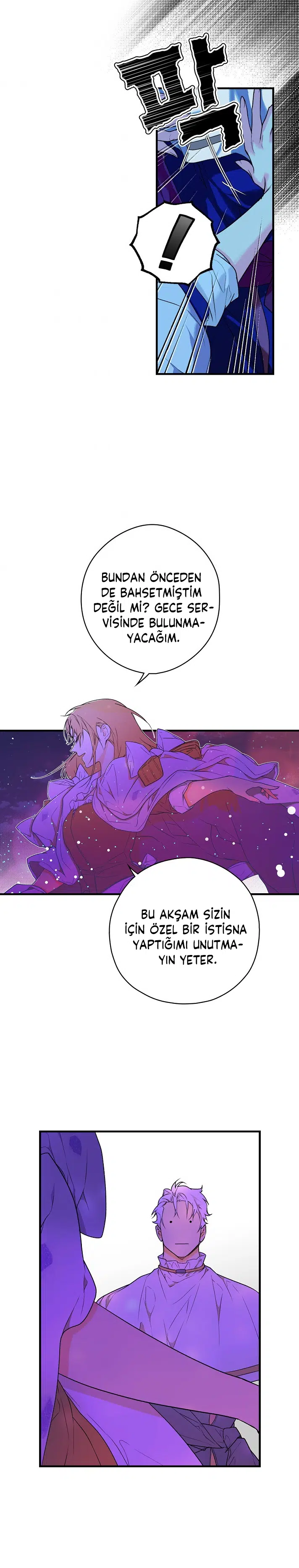Kimliğini Gizleyen Leydi - Bölüm 14 Sayfa 6