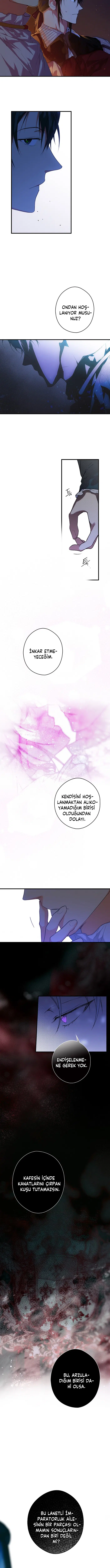 Kimliğini Gizleyen Leydi - Bölüm 14 Sayfa 10