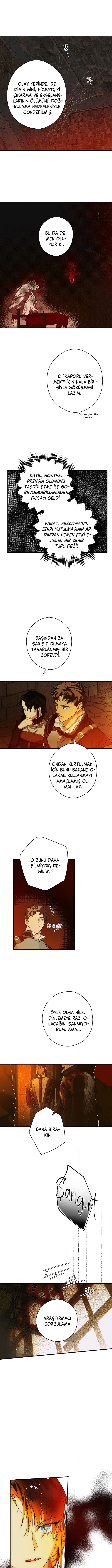 Kimliğini Gizleyen Leydi - Bölüm 15 Sayfa 9