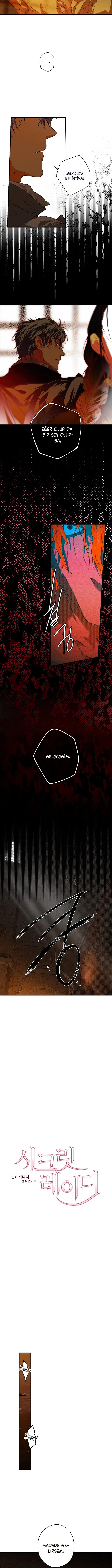 Kimliğini Gizleyen Leydi - Bölüm 16 Sayfa 3