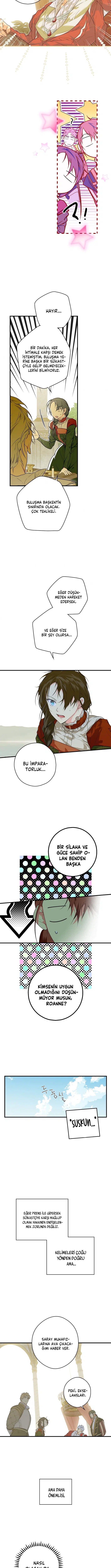 Kimliğini Gizleyen Leydi - Bölüm 16 Sayfa 11