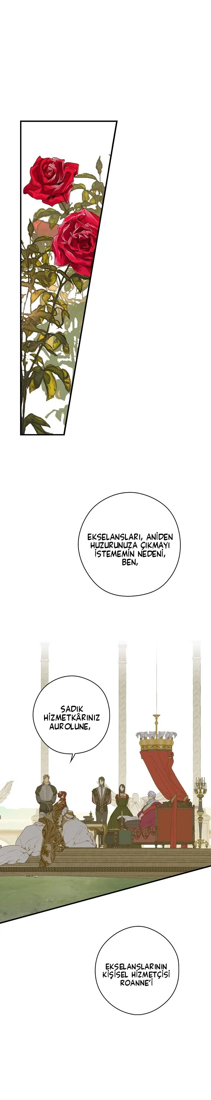 Kimliğini Gizleyen Leydi - Bölüm 17 Sayfa 1