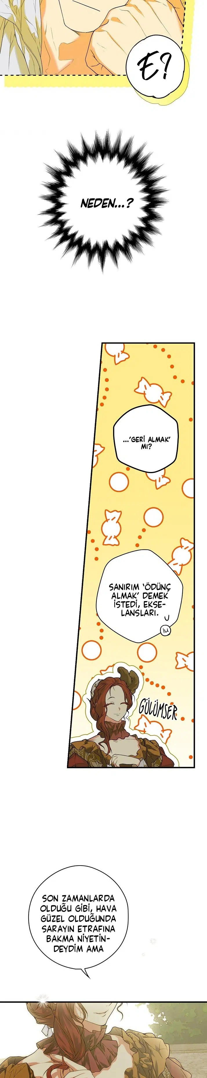Kimliğini Gizleyen Leydi - Bölüm 17 Sayfa 3