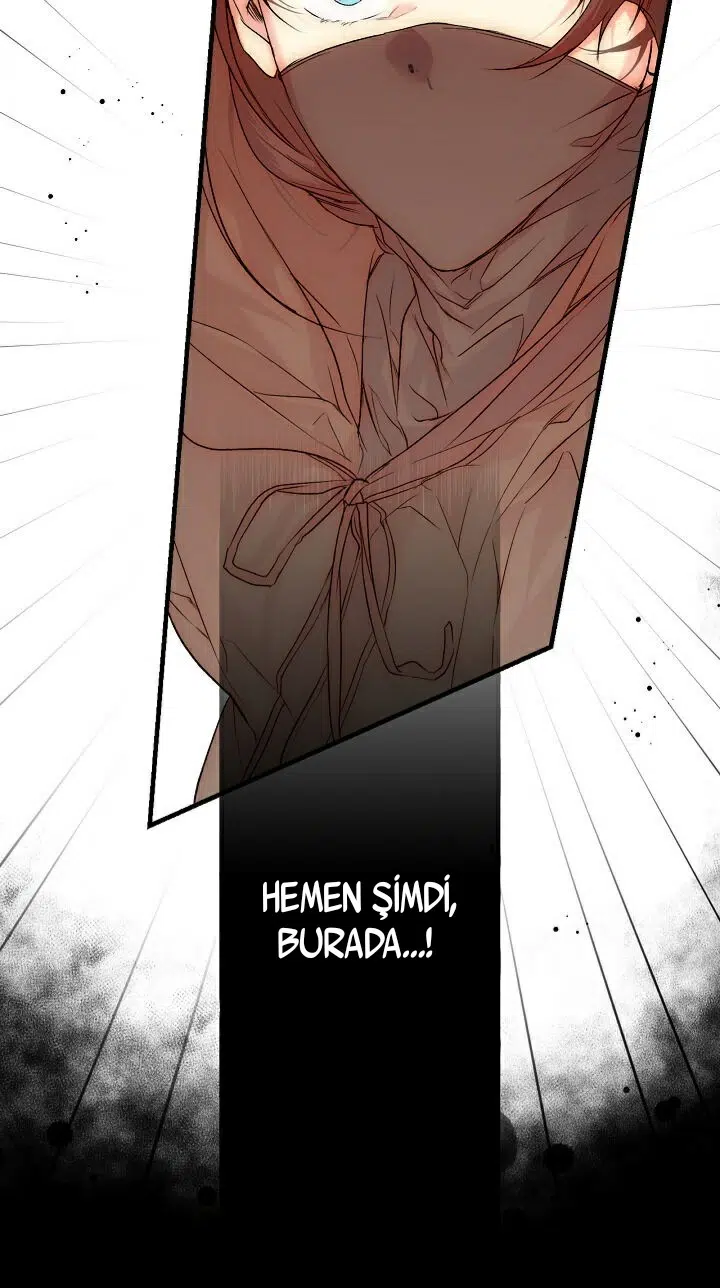 Kimliğini Gizleyen Leydi - Bölüm 18 Sayfa 26