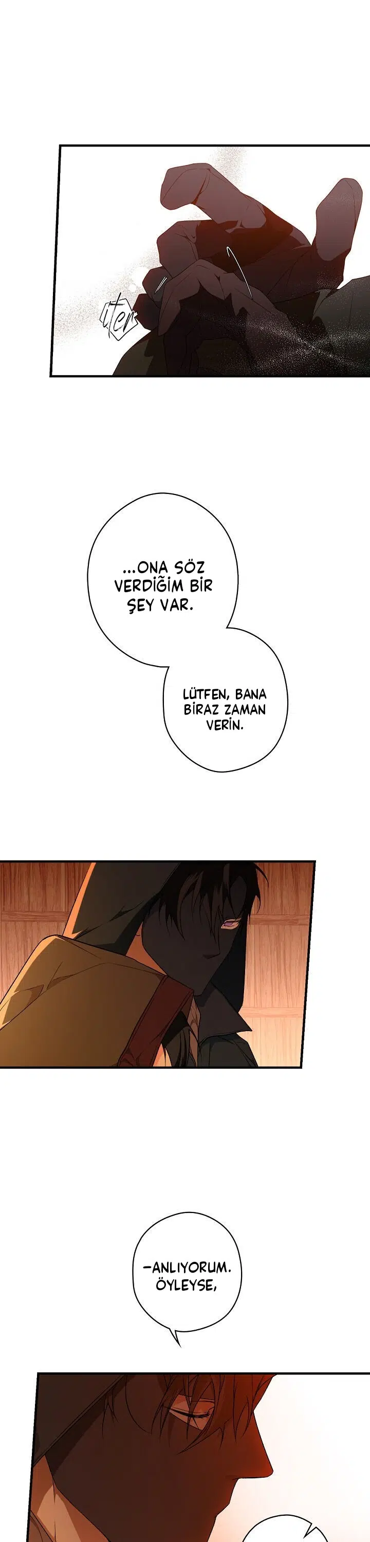 Kimliğini Gizleyen Leydi - Bölüm 19 Sayfa 11