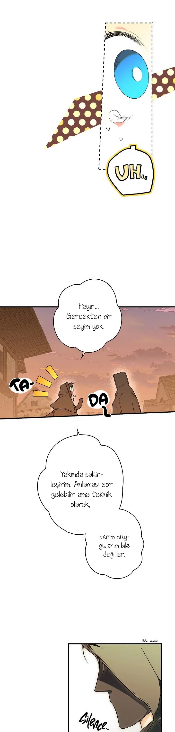 Kimliğini Gizleyen Leydi - Bölüm 19 Sayfa 33