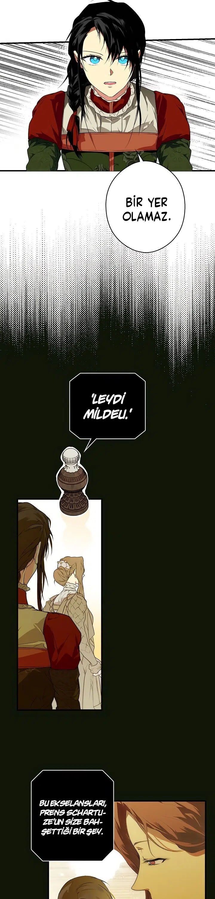 Kimliğini Gizleyen Leydi - Bölüm 22 Sayfa 11
