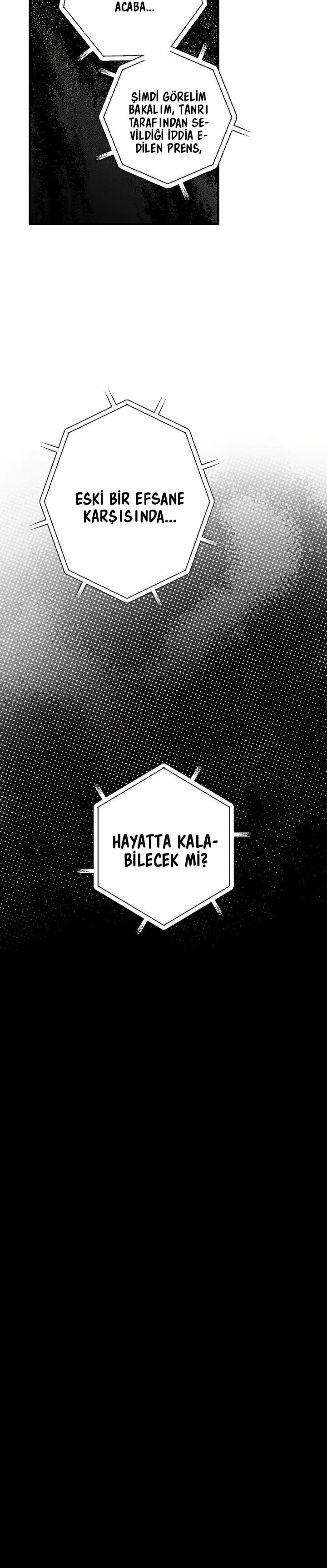 Kimliğini Gizleyen Leydi - Bölüm 22 Sayfa 27