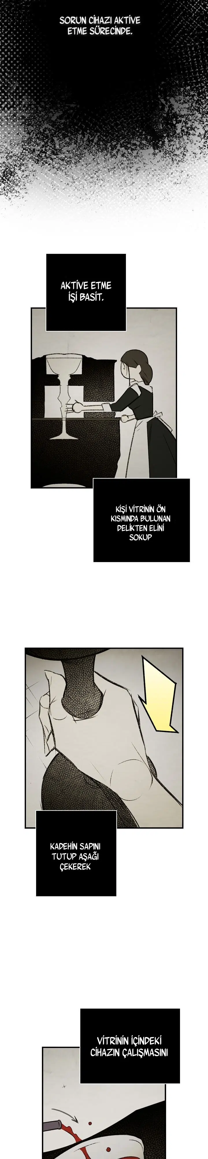Kimliğini Gizleyen Leydi - Bölüm 24 Sayfa 12
