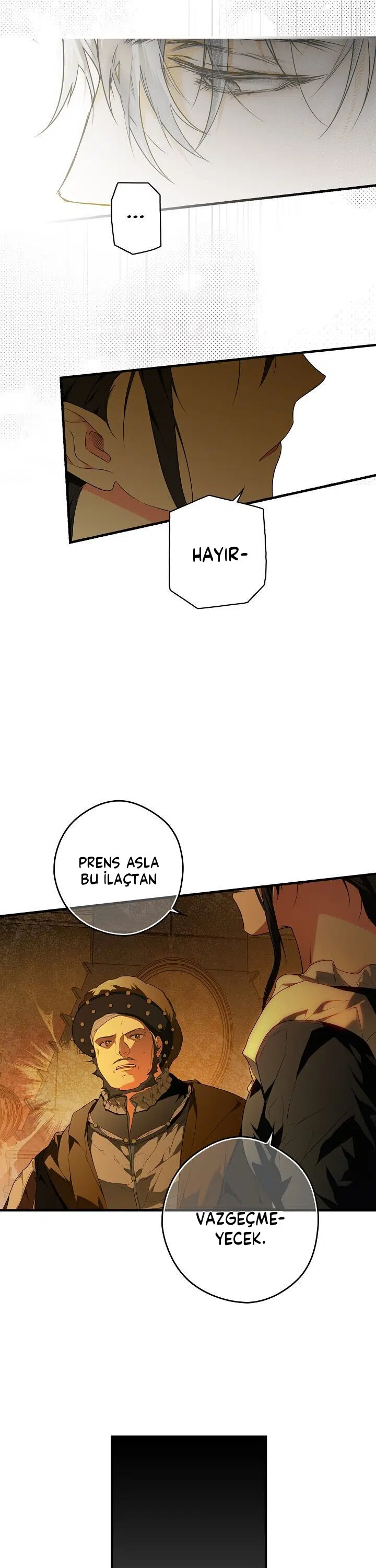 Kimliğini Gizleyen Leydi - Bölüm 24 Sayfa 17