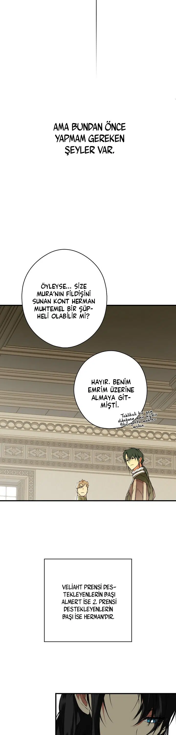 Kimliğini Gizleyen Leydi - Bölüm 25 Sayfa 12