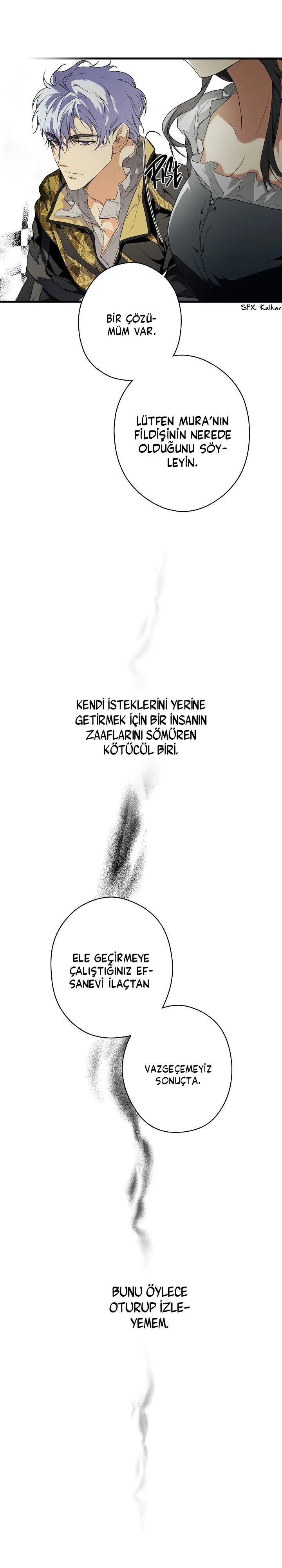 Kimliğini Gizleyen Leydi - Bölüm 25 Sayfa 21