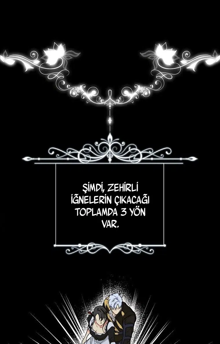 Kimliğini Gizleyen Leydi - Bölüm 27 Sayfa 1