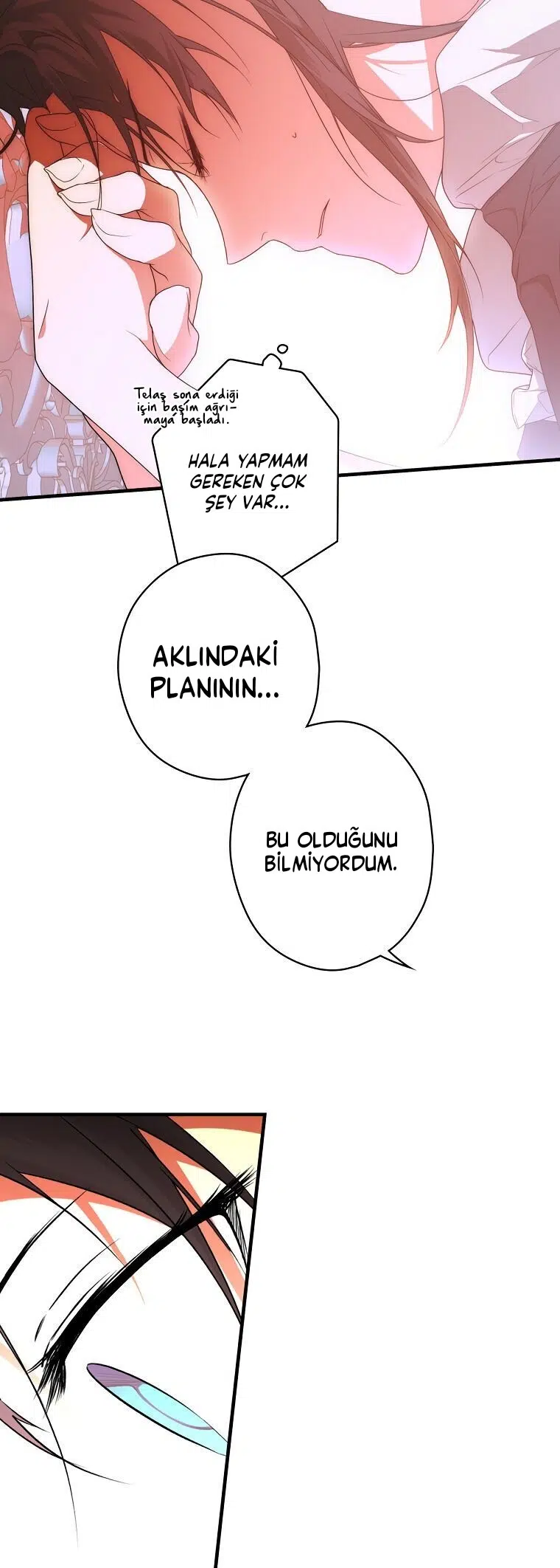 Kimliğini Gizleyen Leydi - Bölüm 27 Sayfa 26