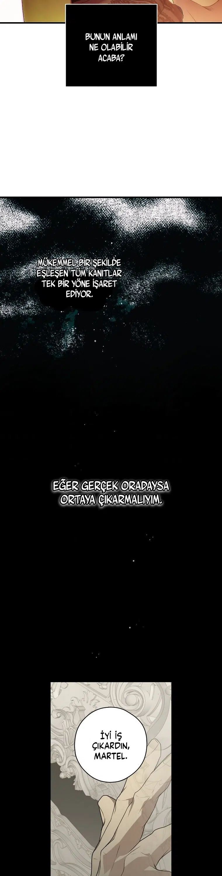 Kimliğini Gizleyen Leydi - Bölüm 28 Sayfa 16