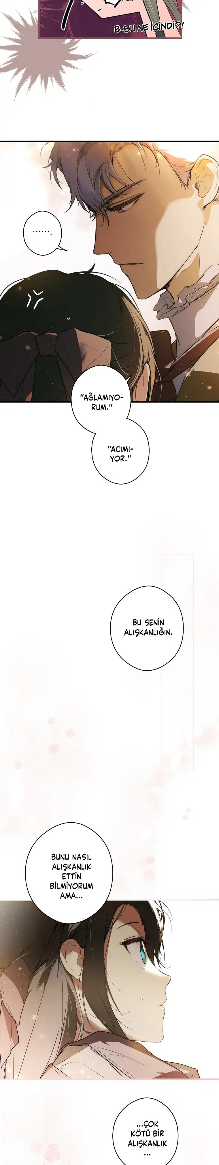Kimliğini Gizleyen Leydi - Bölüm 40 Sayfa 24
