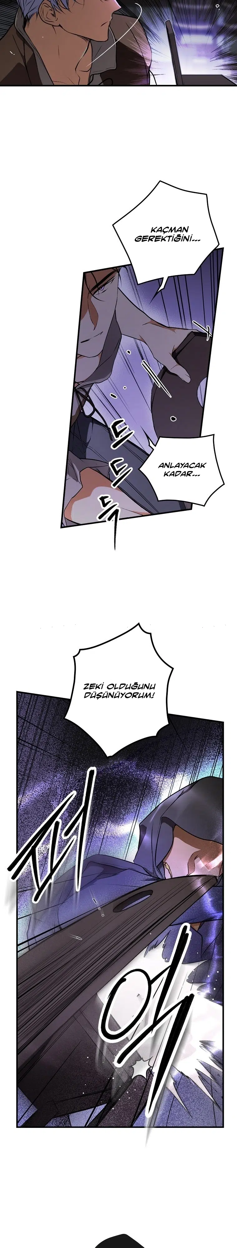 Kimliğini Gizleyen Leydi - Bölüm 44 Sayfa 9
