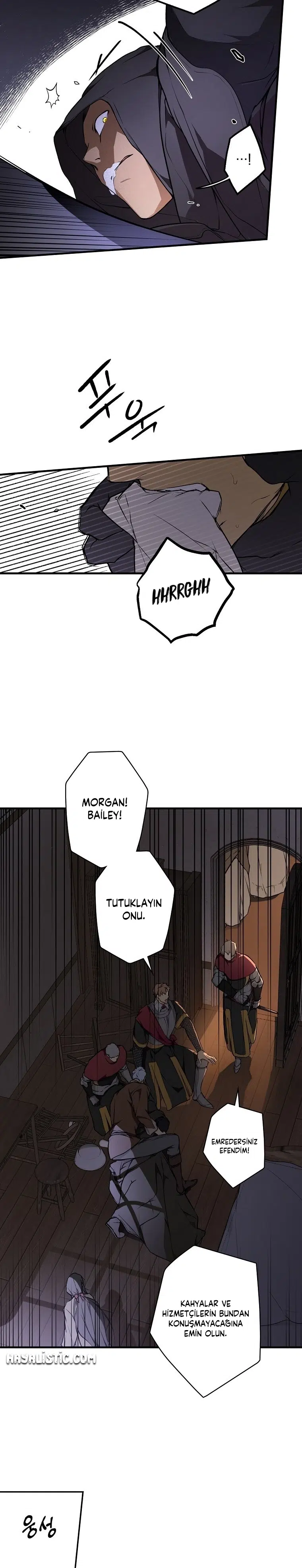 Kimliğini Gizleyen Leydi - Bölüm 44 Sayfa 19