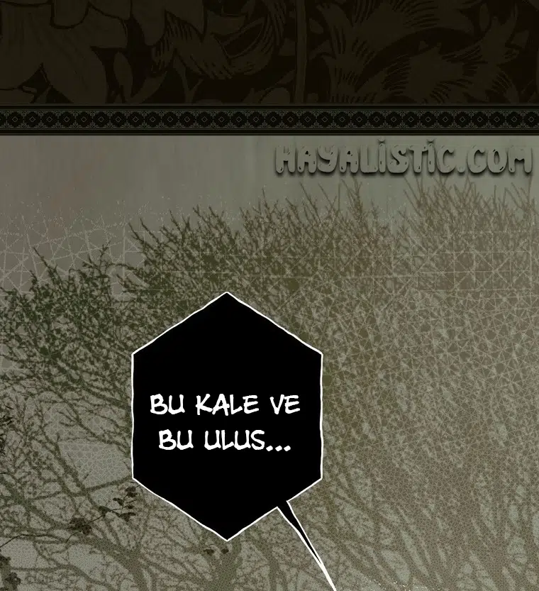 Kimliğini Gizleyen Leydi - Bölüm 48 Sayfa 14