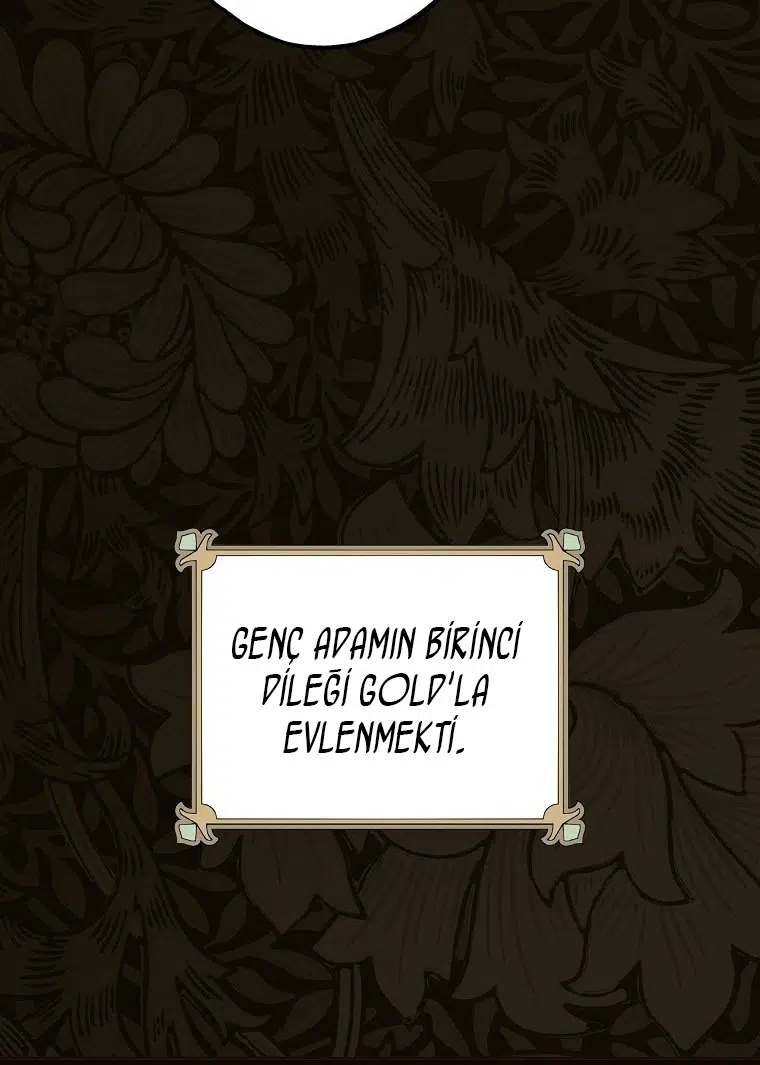 Kimliğini Gizleyen Leydi - Bölüm 48 Sayfa 30