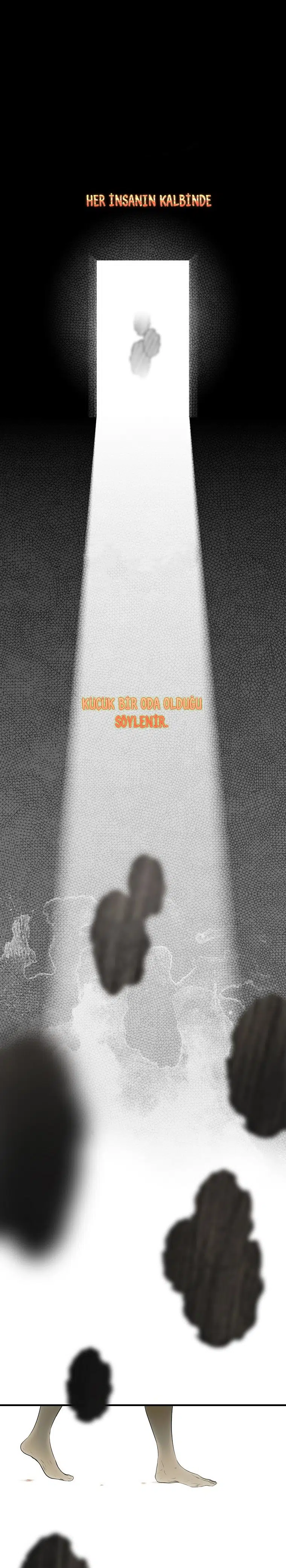 Kimliğini Gizleyen Leydi - Bölüm 51 Sayfa 2