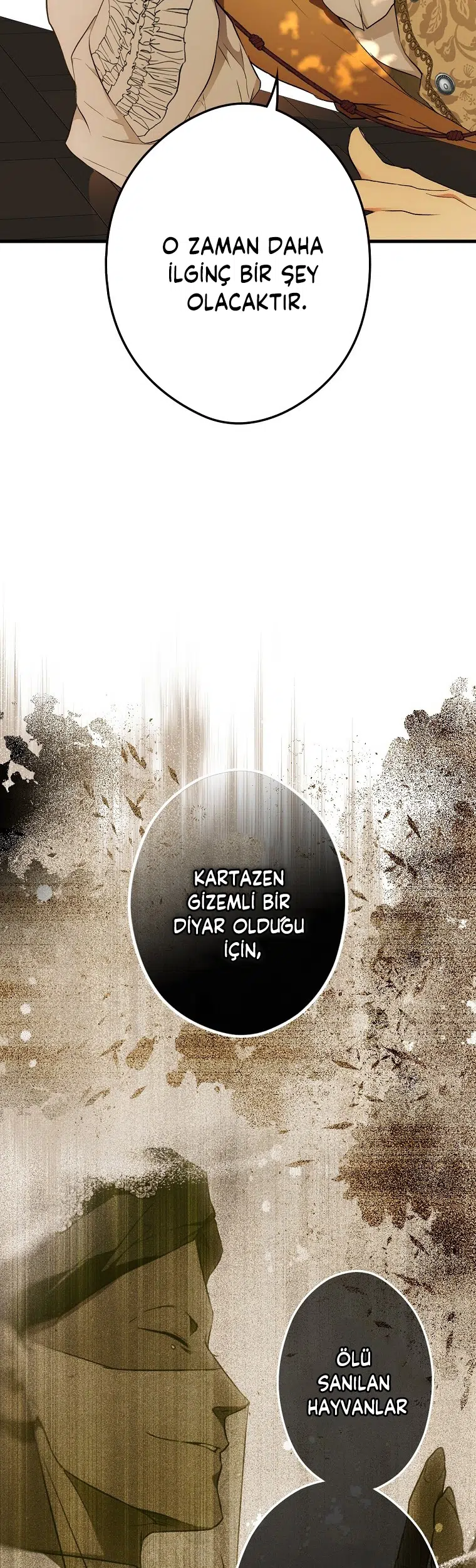 Kimliğini Gizleyen Leydi - Bölüm 55 Sayfa 12