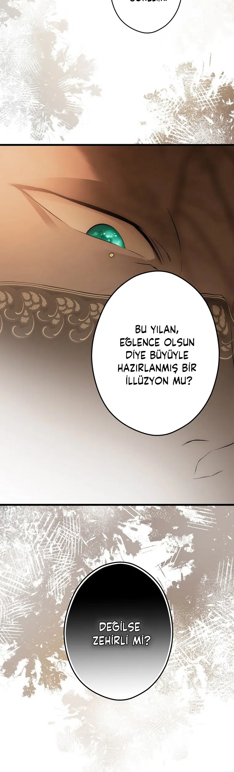 Kimliğini Gizleyen Leydi - Bölüm 55 Sayfa 23