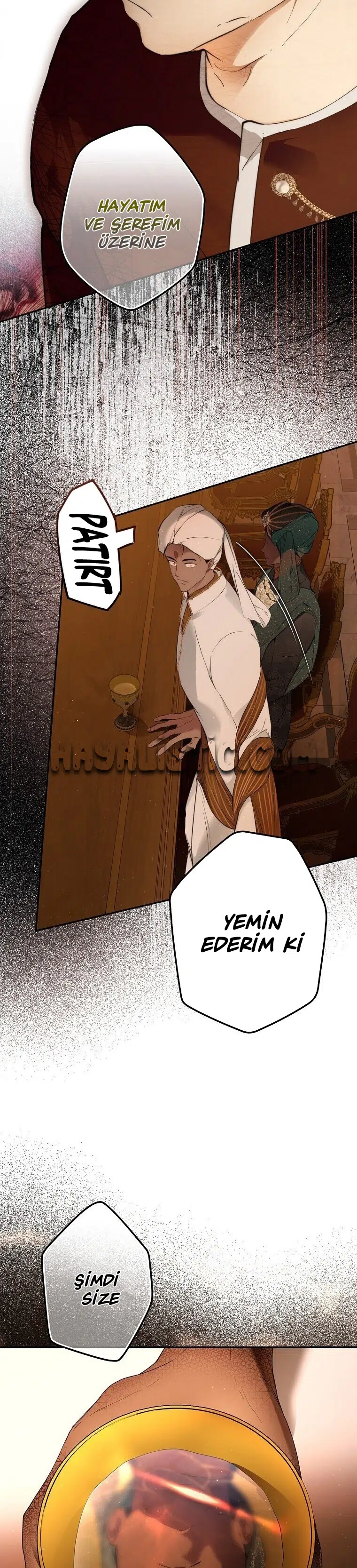 Kimliğini Gizleyen Leydi - Bölüm 63 Sayfa 22