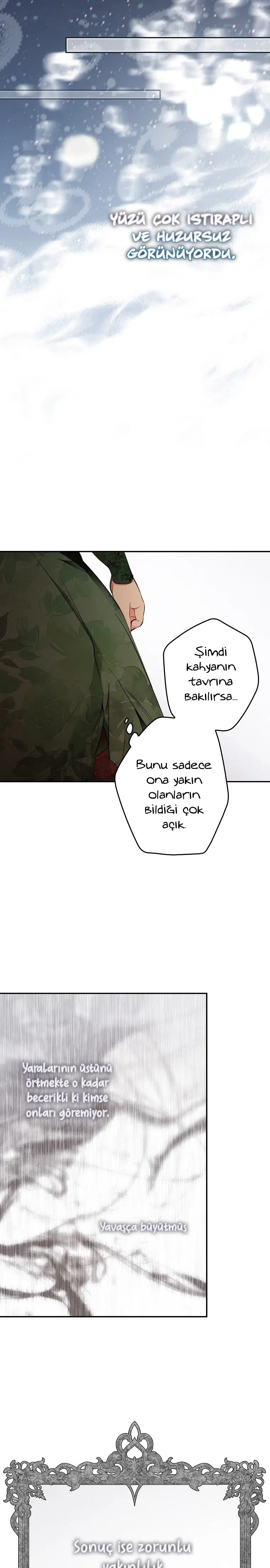 Kimliğini Gizleyen Leydi - Bölüm 64 Sayfa 27