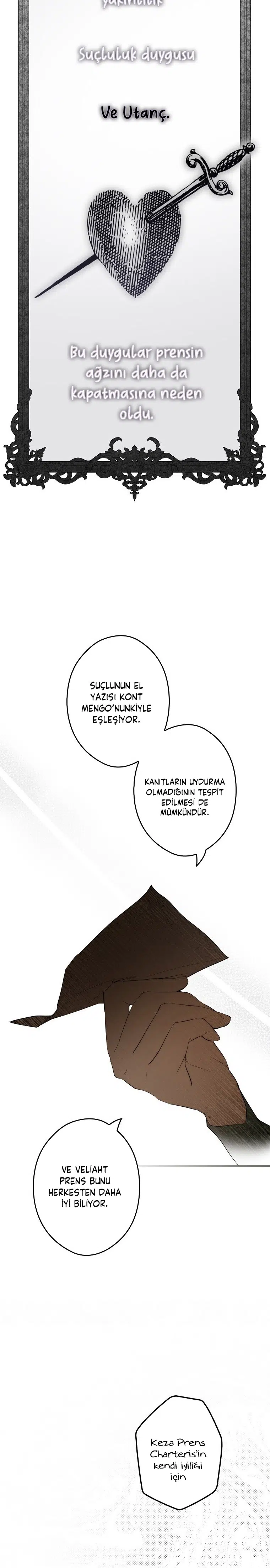 Kimliğini Gizleyen Leydi - Bölüm 64 Sayfa 28