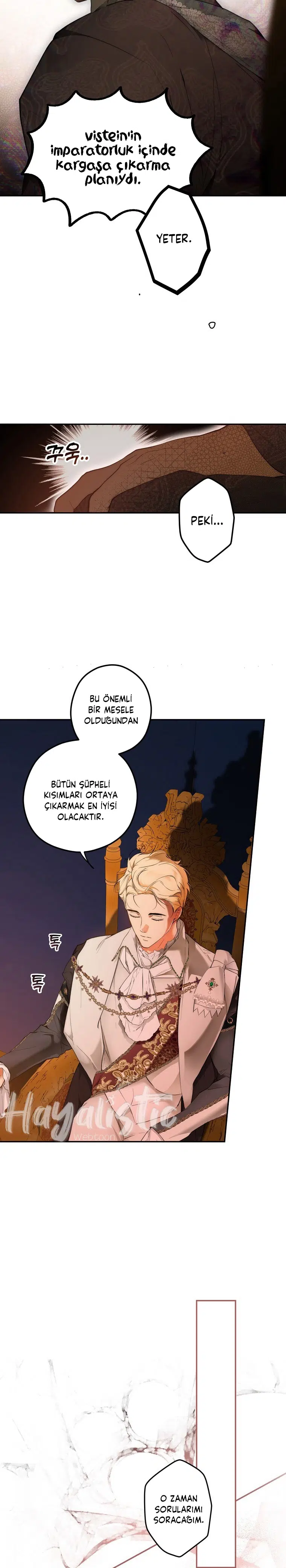 Kimliğini Gizleyen Leydi - Bölüm 65 Sayfa 9