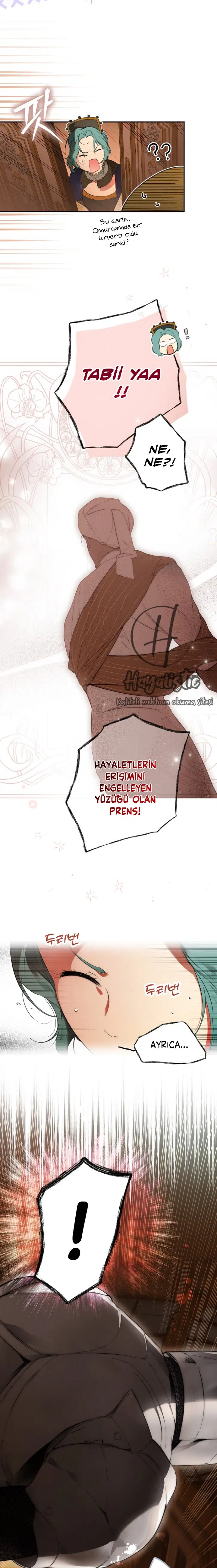 Kimliğini Gizleyen Leydi - Bölüm 67 Sayfa 6