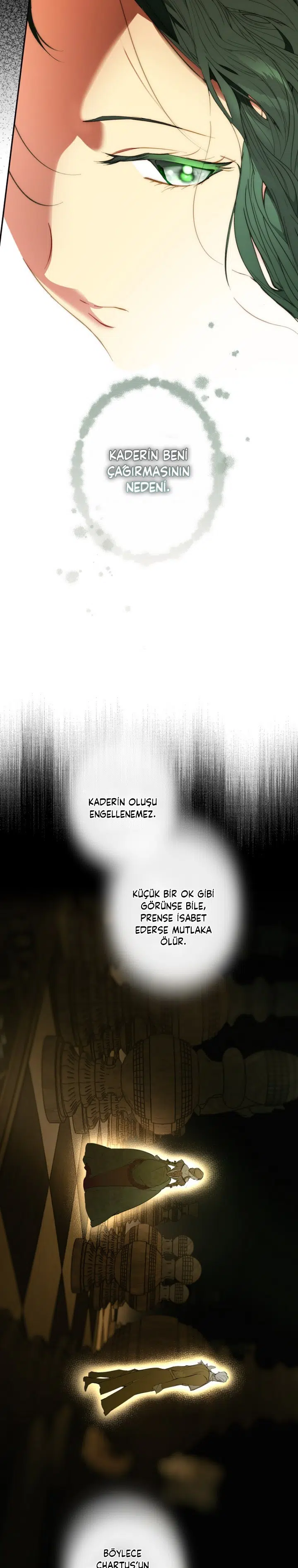 Kimliğini Gizleyen Leydi - Bölüm 67 Sayfa 17