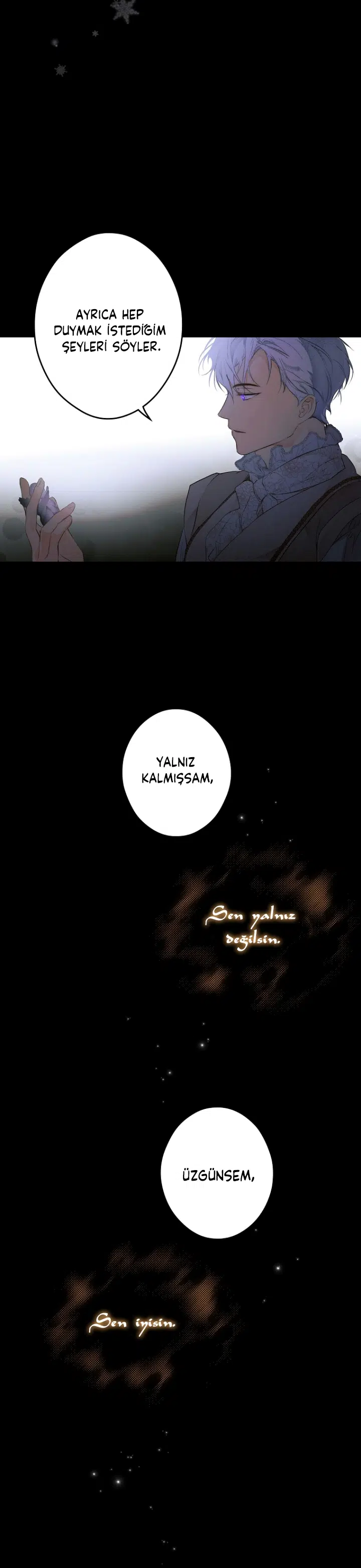 Kimliğini Gizleyen Leydi - Bölüm 71 Sayfa 29