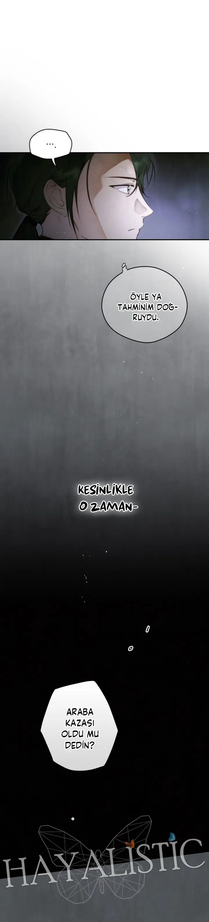 Kimliğini Gizleyen Leydi - Bölüm 73 Sayfa 14
