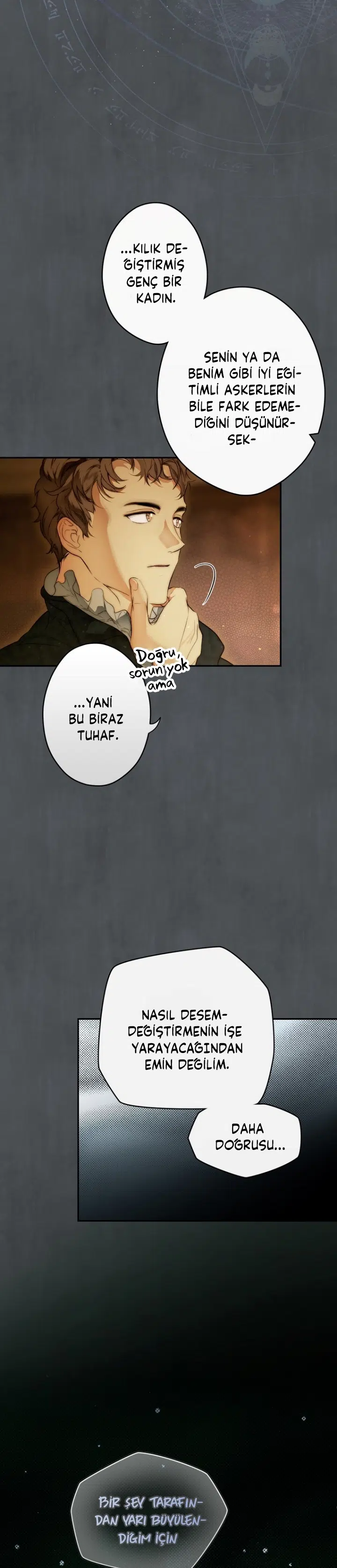 Kimliğini Gizleyen Leydi - Bölüm 73 Sayfa 17