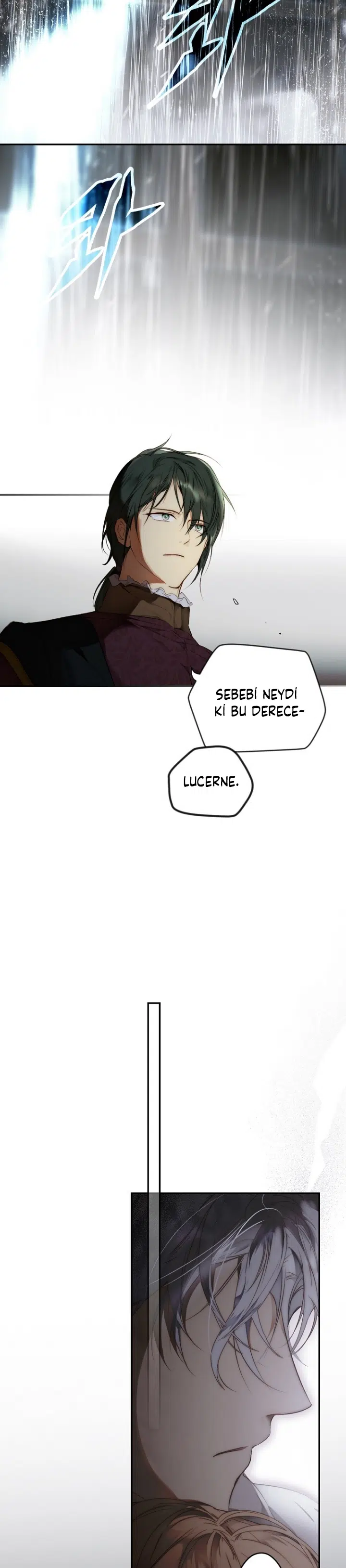 Kimliğini Gizleyen Leydi - Bölüm 73 Sayfa 31