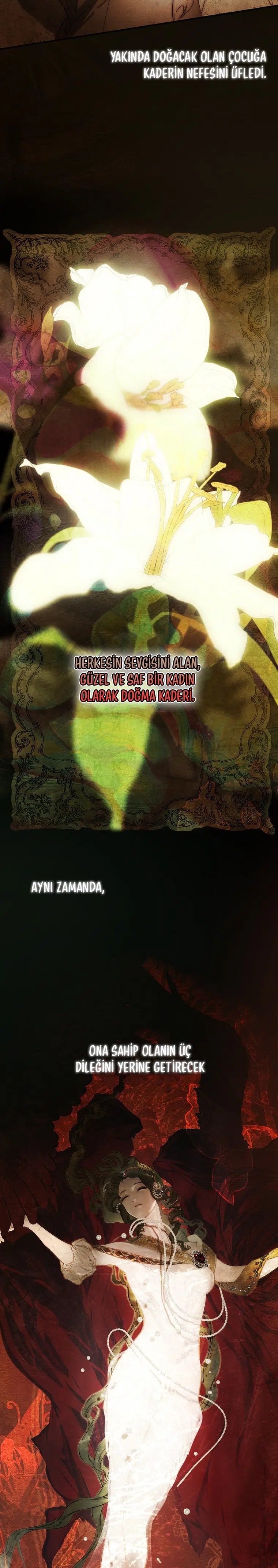 Kimliğini Gizleyen Leydi - Bölüm 77 Sayfa 7