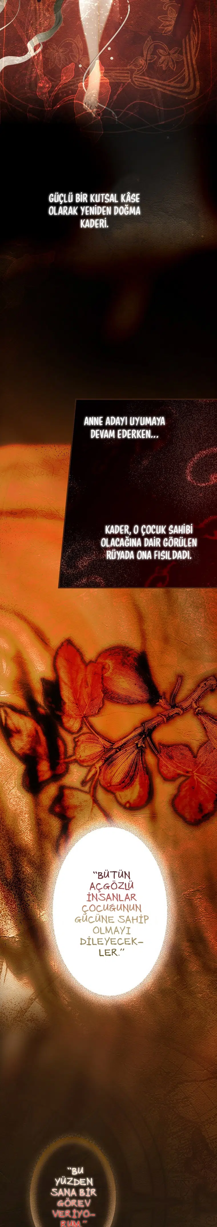 Kimliğini Gizleyen Leydi - Bölüm 77 Sayfa 8