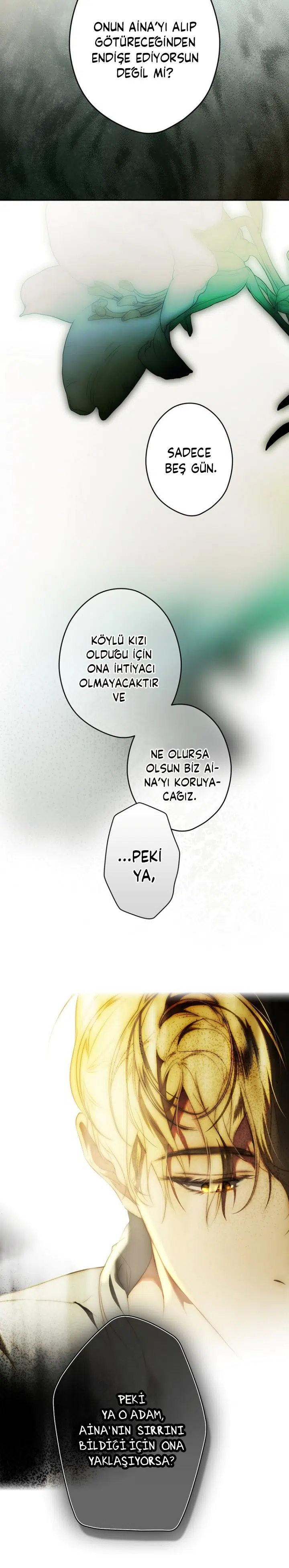 Kimliğini Gizleyen Leydi - Bölüm 77 Sayfa 17