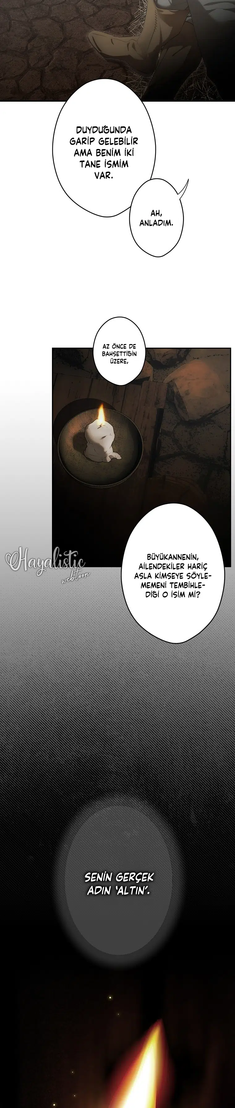 Kimliğini Gizleyen Leydi - Bölüm 77 Sayfa 7