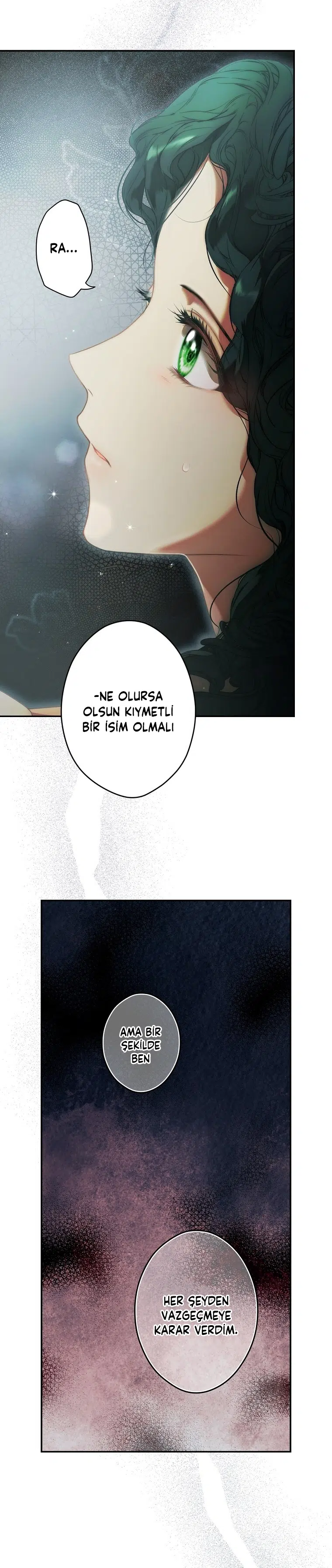 Kimliğini Gizleyen Leydi - Bölüm 77 Sayfa 13