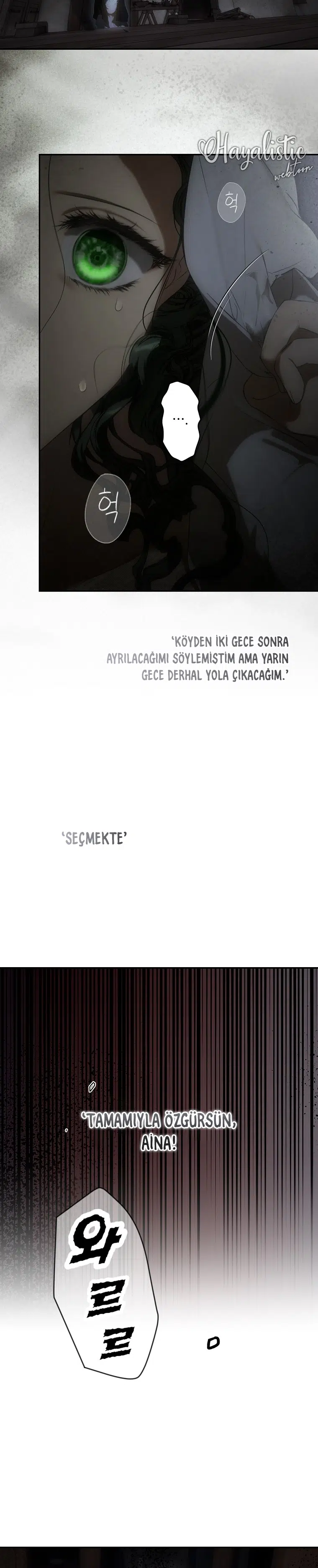 Kimliğini Gizleyen Leydi - Bölüm 77 Sayfa 27