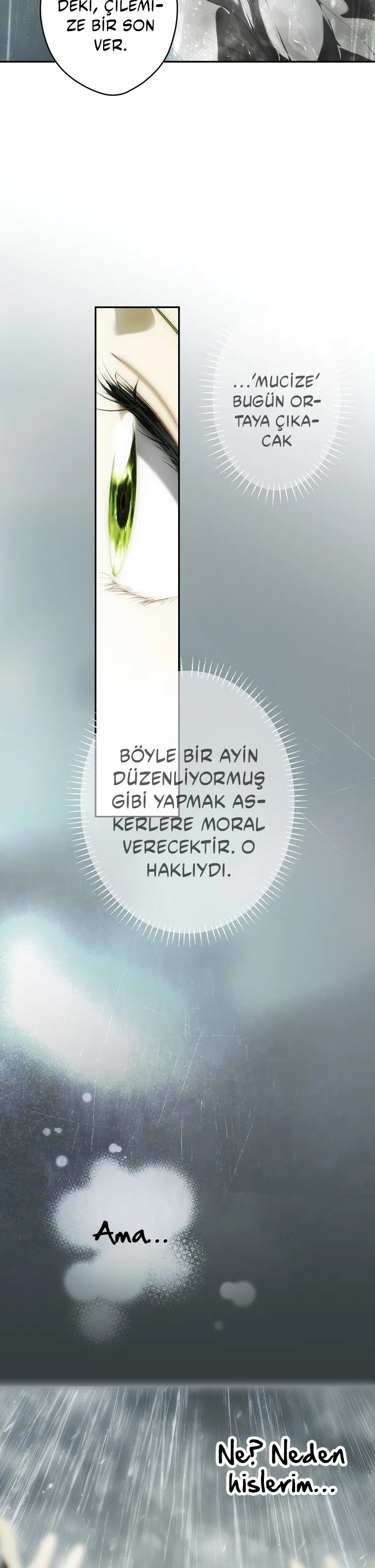 Kimliğini Gizleyen Leydi - Bölüm 84 Sayfa 31