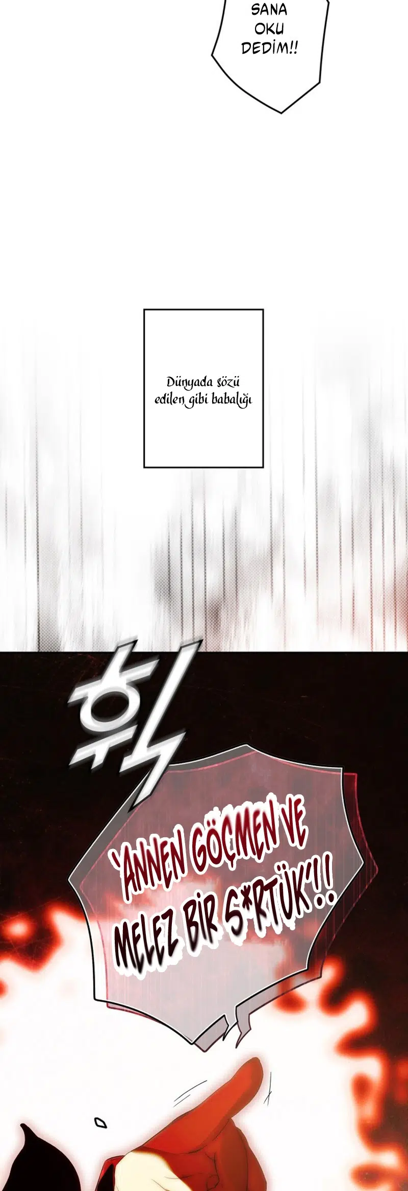 Kimliğini Gizleyen Leydi - Bölüm 87 Sayfa 29
