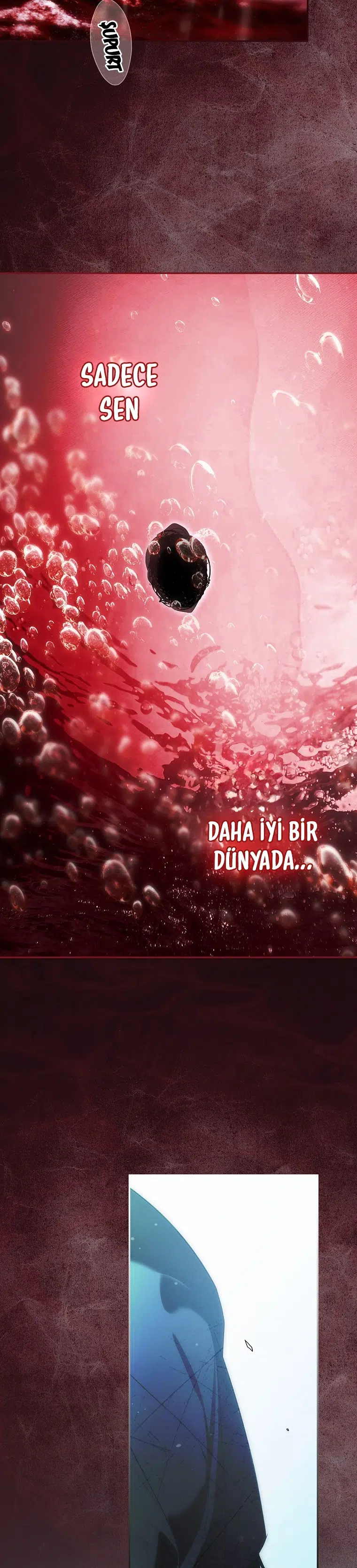 Kimliğini Gizleyen Leydi - Bölüm 90 Sayfa 23